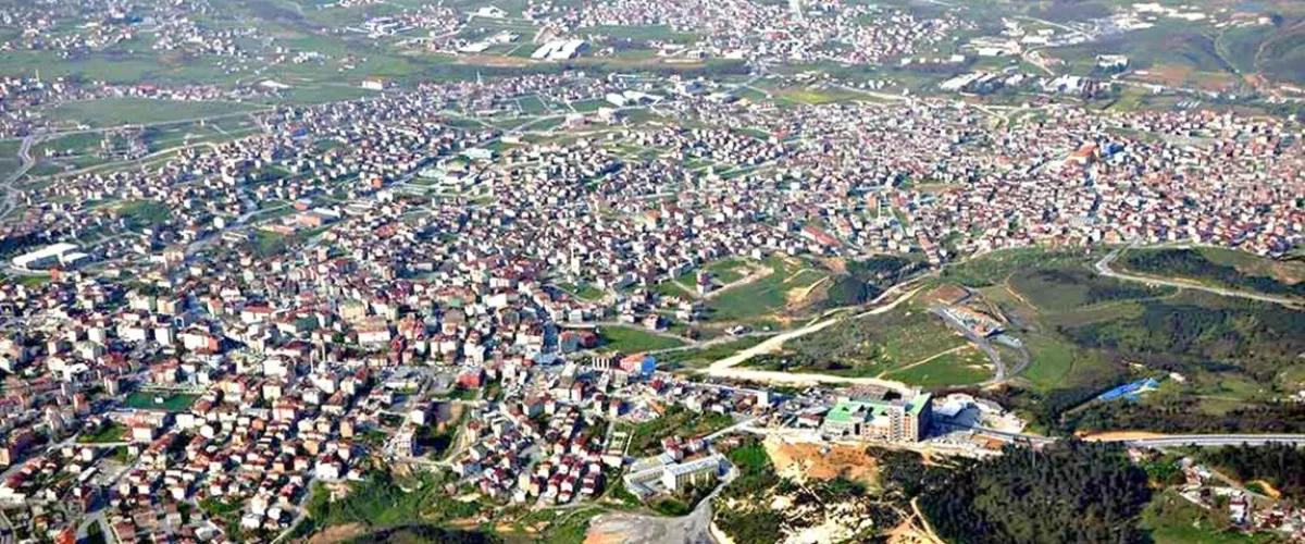 Web Tasarım Arnavutköy: Yerel Güç