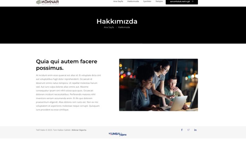 Köknar Sigorta proje detay görseli