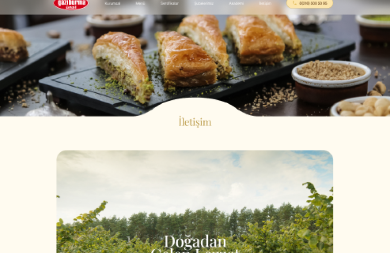 Gaziburma proje detay görseli
