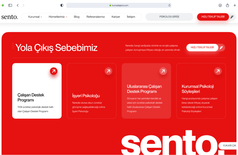 Sento proje detay görseli
