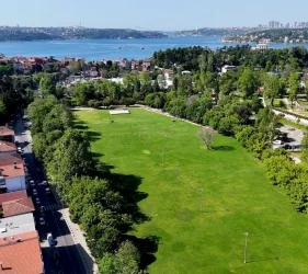 Web Design Beykoz: Harmony with Nature
