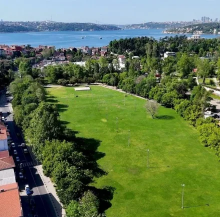Web Tasarım Beykoz: Doğayla Uyumlu Tasarım
