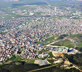 Web Tasarım Arnavutköy: Yerel Güç