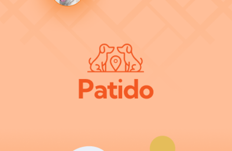 Patido proje detay görseli