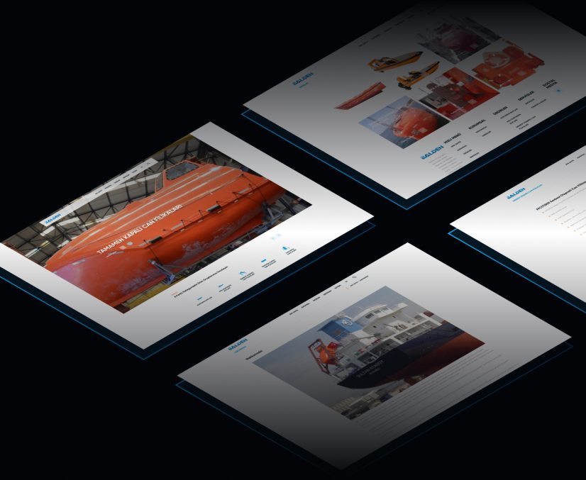Balden Marine proje görseli