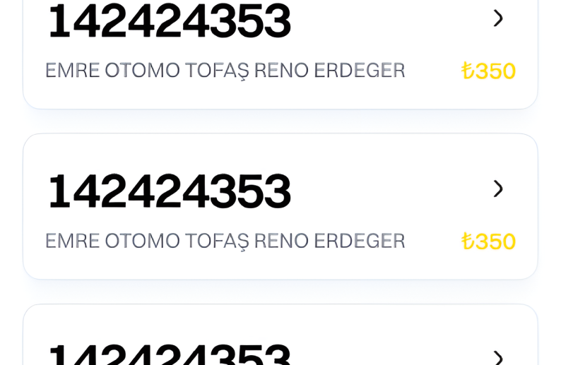 Hilal Oto proje detay görseli