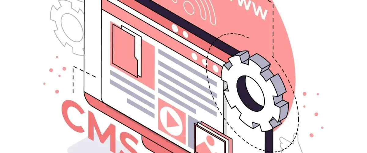 What is the Use of a Custom Software Website? What is the Use of a Custom Software Website?