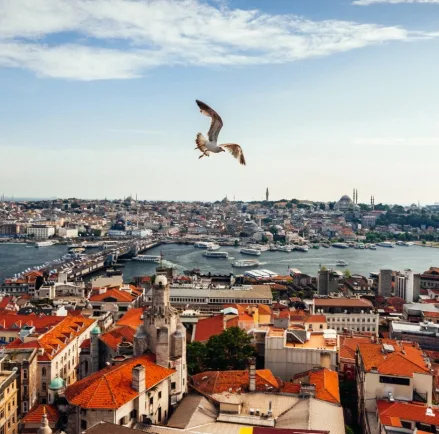 İstanbul Mobil Uygulama Şirketleri: Çözüm Odaklı