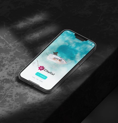 City Go proje görseli