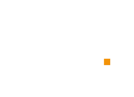 BMS Group logosu