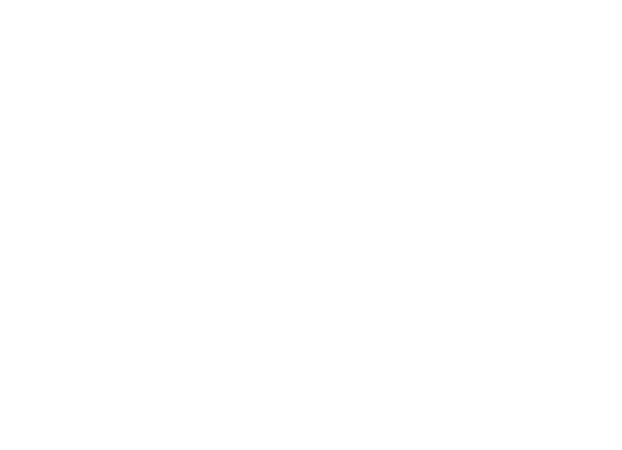 Valour Trading Valour Trading logosu
