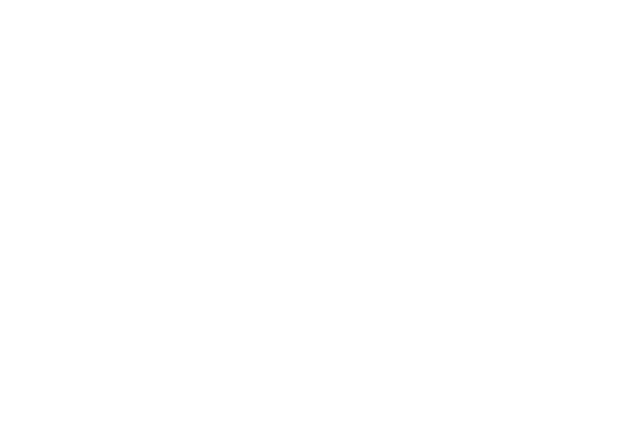 Valour Group Valour Group logosu