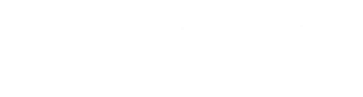 Servigo logosu