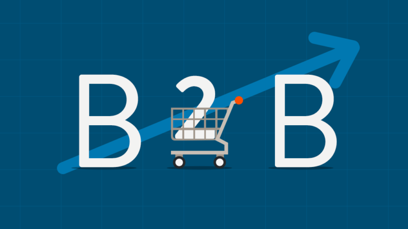 b2b yazılımları nedir nasıl kullanılır